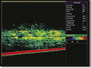 Sonar Wesmar SS395